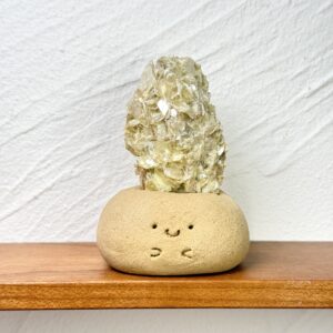 PH143金雲母小豆丁Phlogopite bean