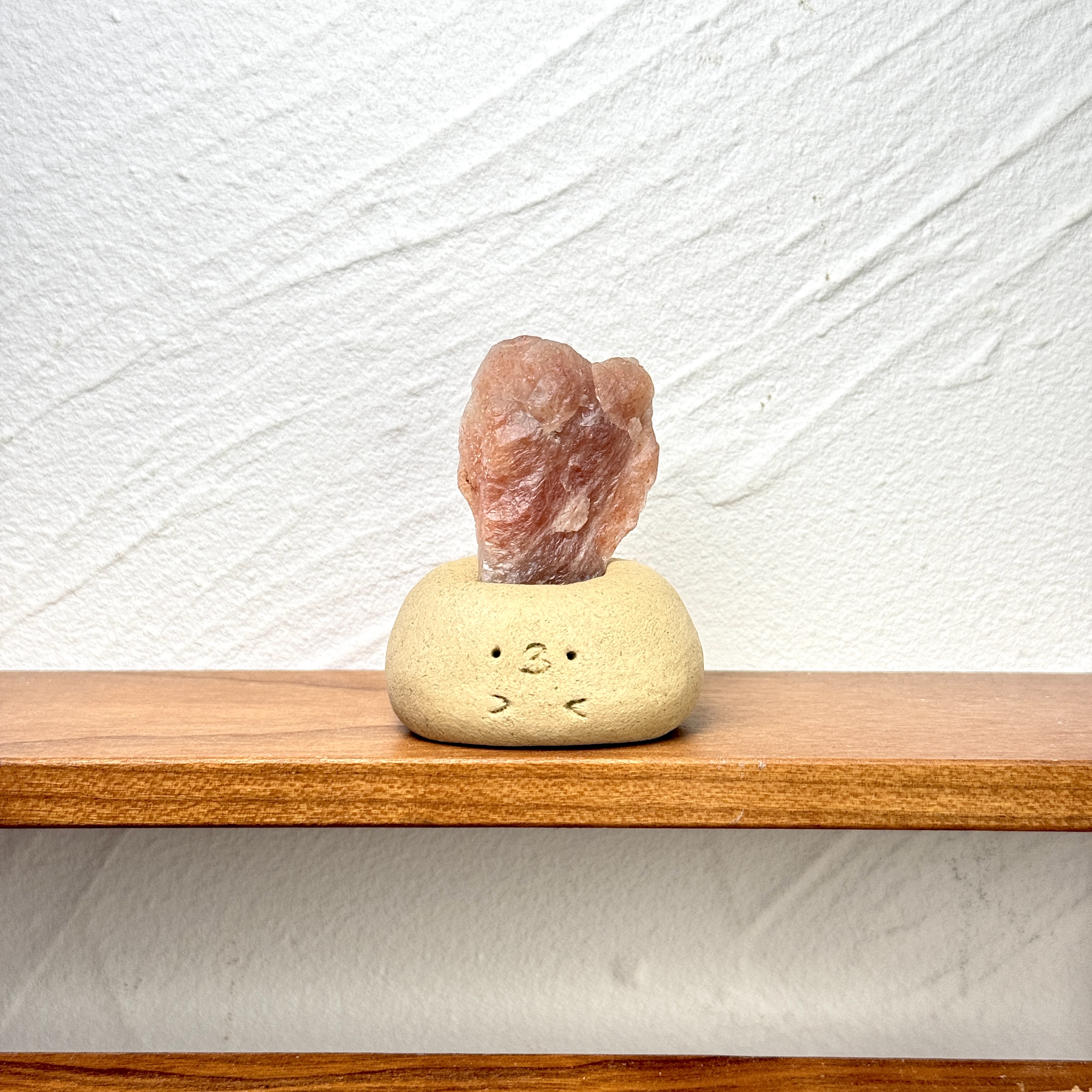 Y134太陽石小豆丁Golden sun stone bean