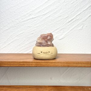 Y135太陽石小豆丁Golden sun stone bean