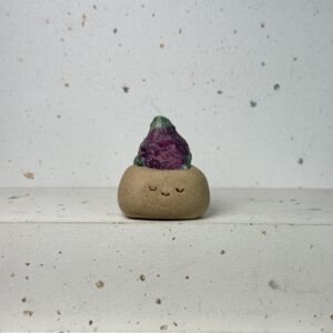 NN82西瓜碧璽小豆丁Watermelon tourmaline bean