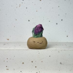 NN86西瓜碧璽小豆丁Watermelon tourmaline bean